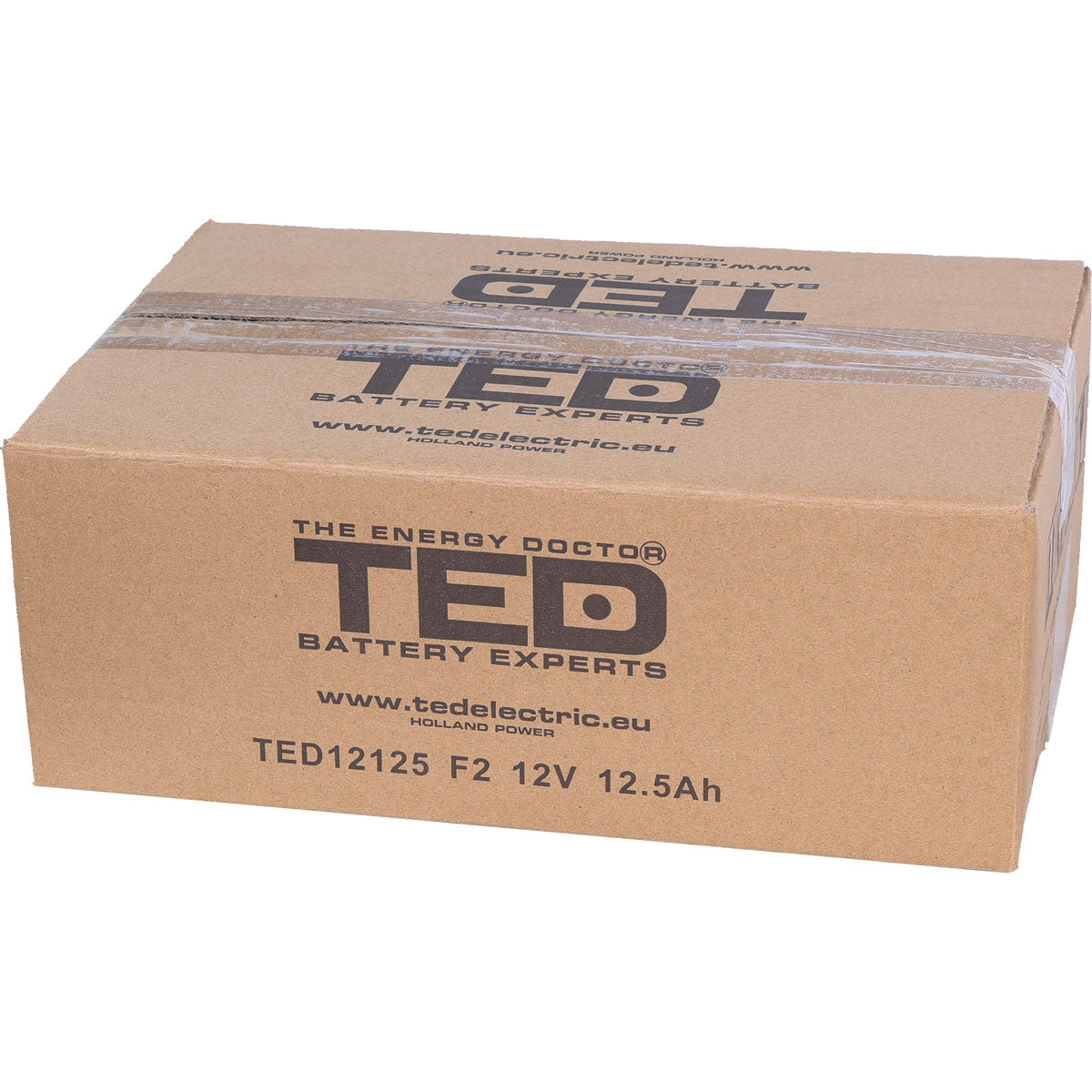 Baterie UPS 12V 12.5Ah F2 Acumulator TED Electric TED002754