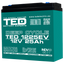 Baterie Bicicleta, Vehicul Electric 12V 25Ah TED Electric TED003782