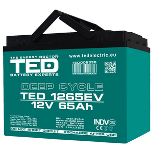 Baterie Carucior, Vehicul Electric 12V 65Ah TED Electric TED008336