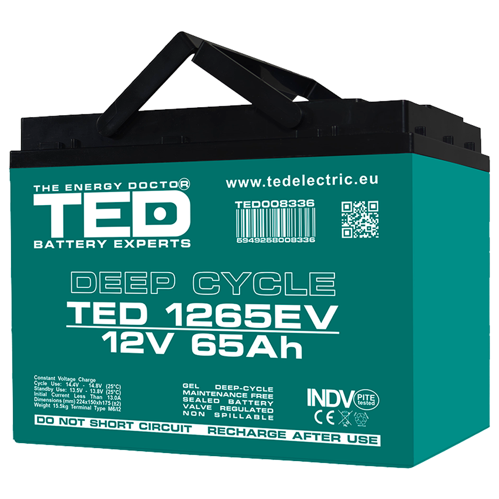 Baterie Carucior, Vehicul Electric 12V 65Ah TED Electric TED008336