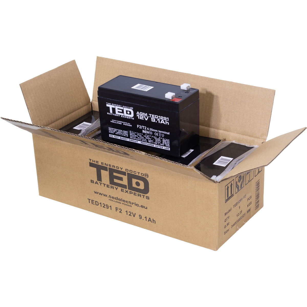 Baterie UPS 12V 9.1Ah F2 Acumulator TED Electric TED003263 Imagine secundară a produsului