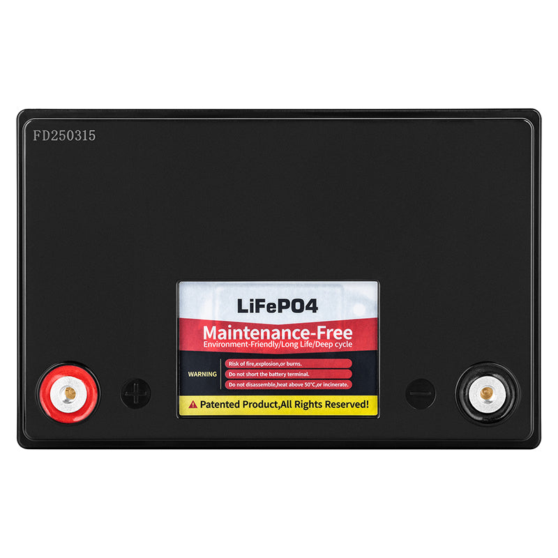 Baterie LiFePO4 12V 100Ah - Acumulator cu BMS Vipow BAT0496 Imagine secundară a produsului
