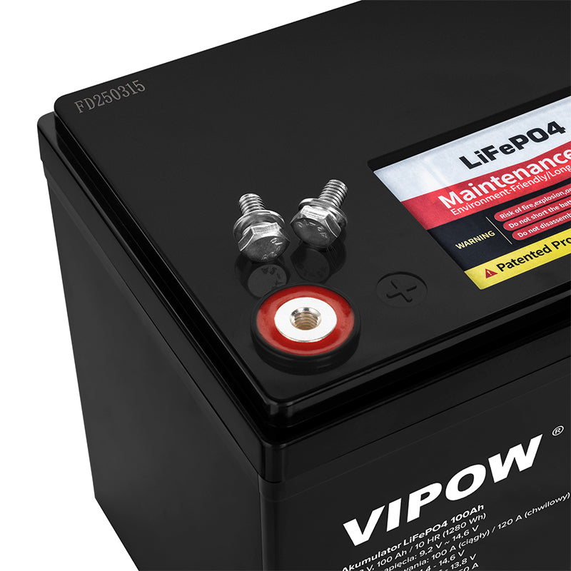 Baterie LiFePO4 12V 100Ah - Acumulator cu BMS Vipow BAT0496