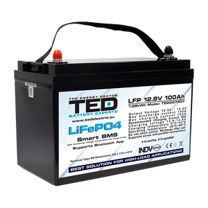 Baterie LiFePO4 12V 100Ah - Acumulator UPS Centrala Termica / Fotovoltaic cu BMS, Bluetooth TED Electric TED007407