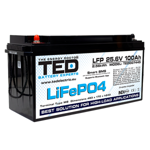 Baterie LiFePO4 24V 100Ah - Acumulator UPS Centrala Termica / Fotovoltaic cu BMS, Bluetooth TED Electric TED007445